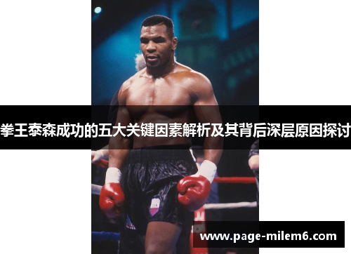 拳王泰森成功的五大关键因素解析及其背后深层原因探讨