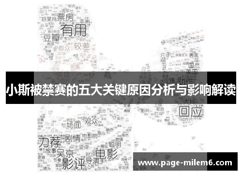 小斯被禁赛的五大关键原因分析与影响解读
