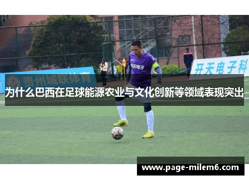 为什么巴西在足球能源农业与文化创新等领域表现突出