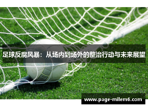 足球反腐风暴：从场内到场外的整治行动与未来展望