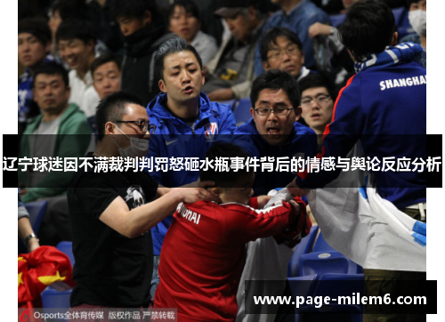 辽宁球迷因不满裁判判罚怒砸水瓶事件背后的情感与舆论反应分析